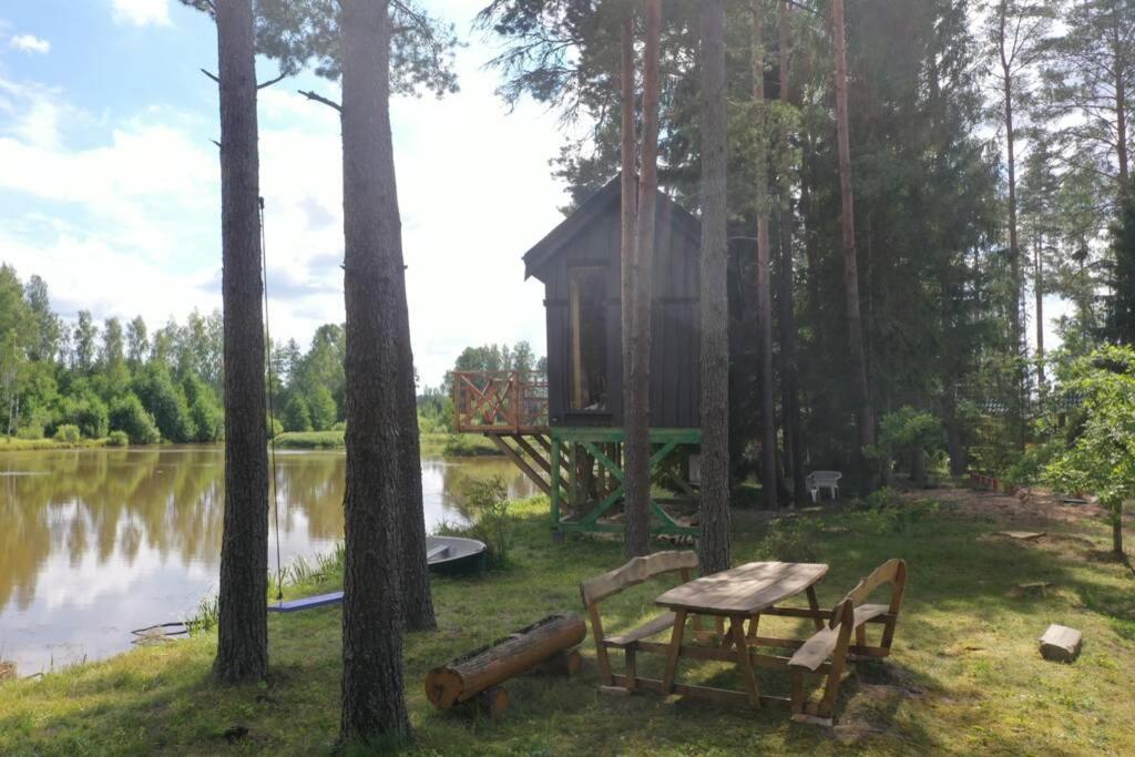 Dragon House In The Tree! Jacuzzi, Sauna ,Cinema,Heated Lici  외부 사진