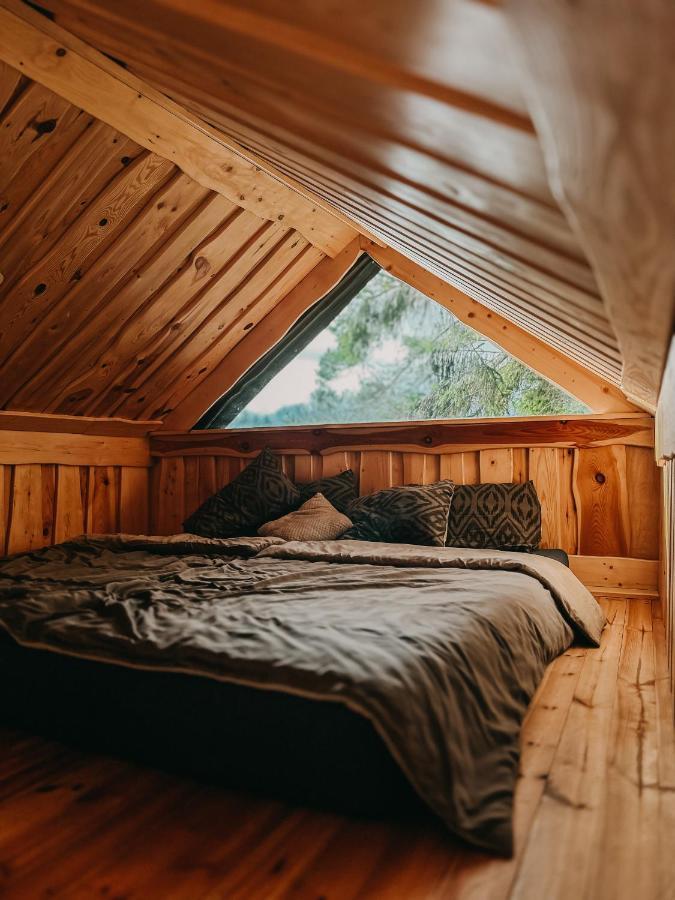 Dragon House In The Tree! Jacuzzi, Sauna ,Cinema,Heated Lici  외부 사진
