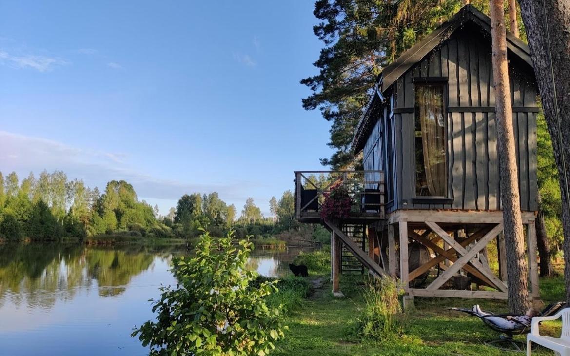 Dragon House In The Tree! Jacuzzi, Sauna ,Cinema,Heated Lici  외부 사진